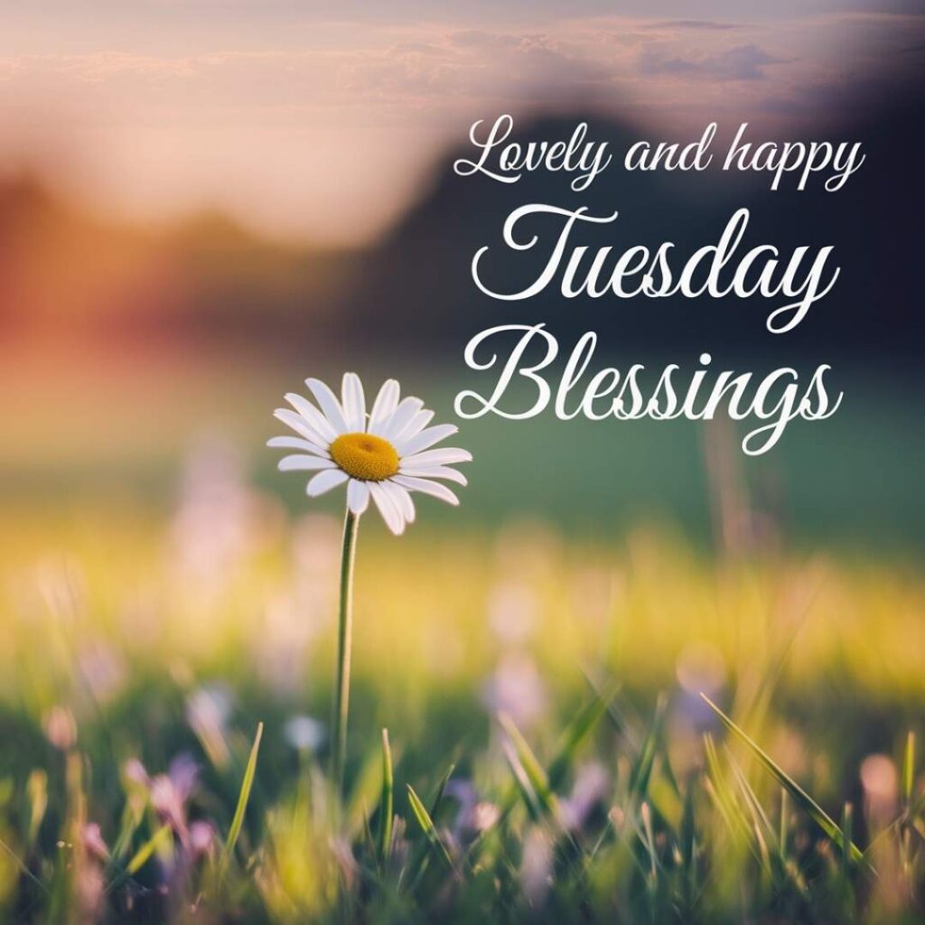 Lovely and Happy Tuesday Blessings